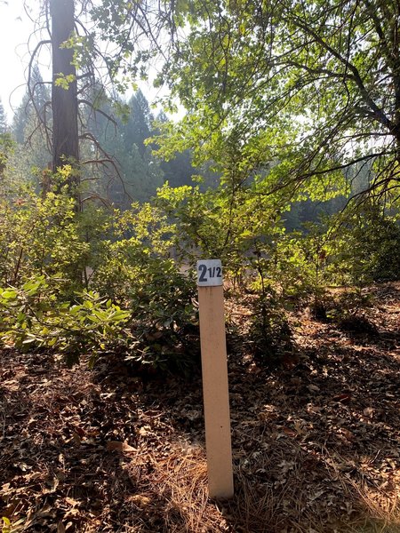 One of the many trail markers along the Paradise Lake trail. This is where our group turned around.