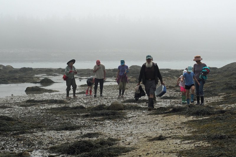 Exploring the intertidal area at low spring tide.