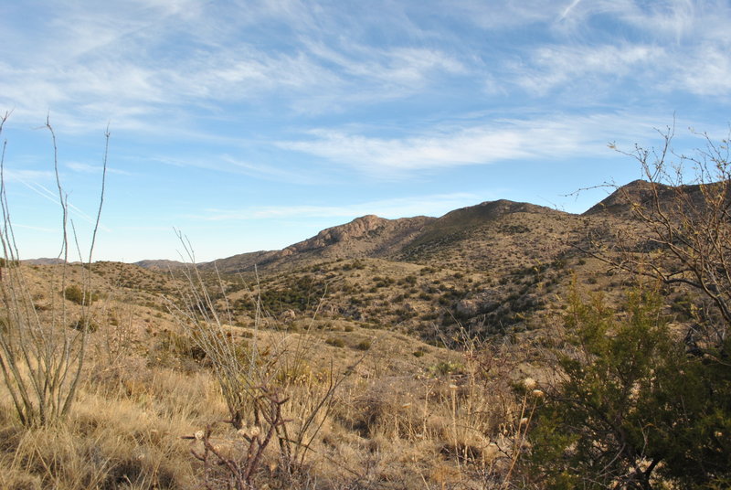 looking SE towards end of trail/junction with AZT.