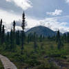 One of the many vistas from the trail to Tanalian Falls in Lake Clark National Park.