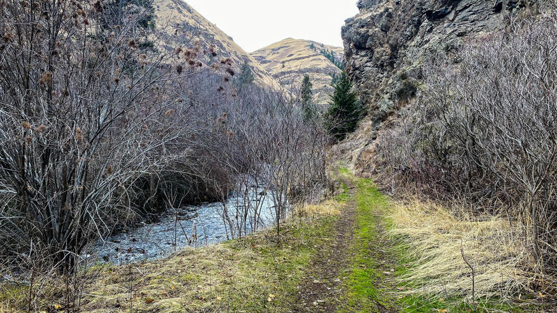 Asotin Creek Trail