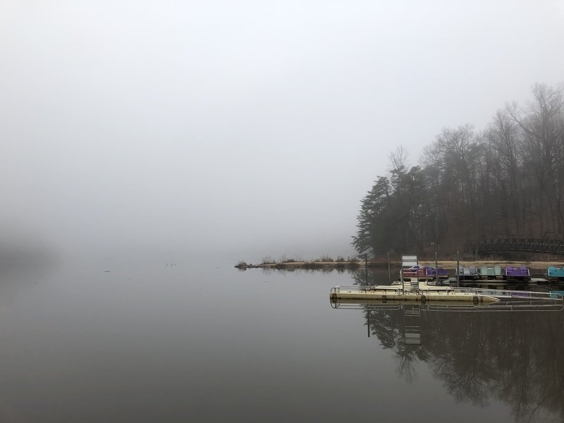 Misty morning by the lake.