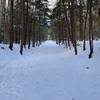 Lincoln Woods...Walking in a Winter Wonderland.