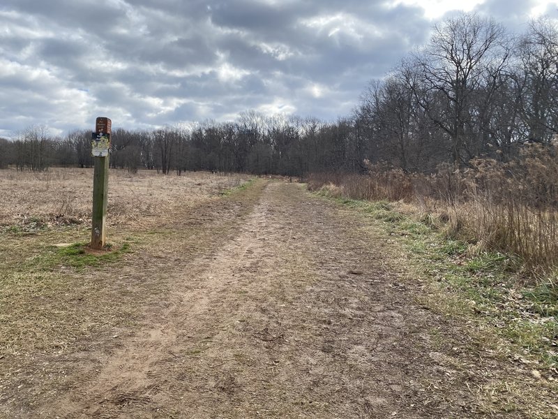 This is the first part of the trail on the meadow.