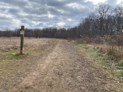 Rachel Carson Greenway Trail Running Trail Olney Maryland