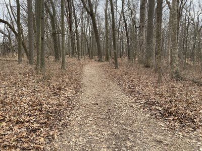 Rachel Carson Greenway Trail Running Trail Olney Maryland