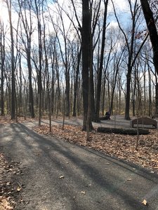 Running Trails Near Paducah