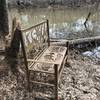 Beautiful - and surrealist - bench in the Sandy Creek Nature Loop