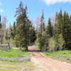 Slide Creek Campground adjacent to trailhead.