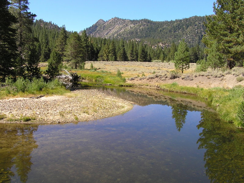 East Fork Carson River near first crossing.