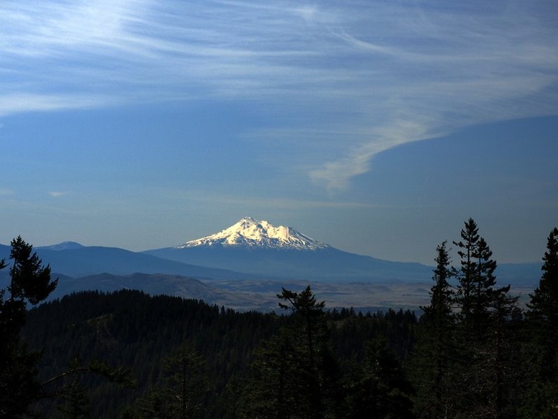 Mount Shasta from the PCT east of Porcupine Mountain.