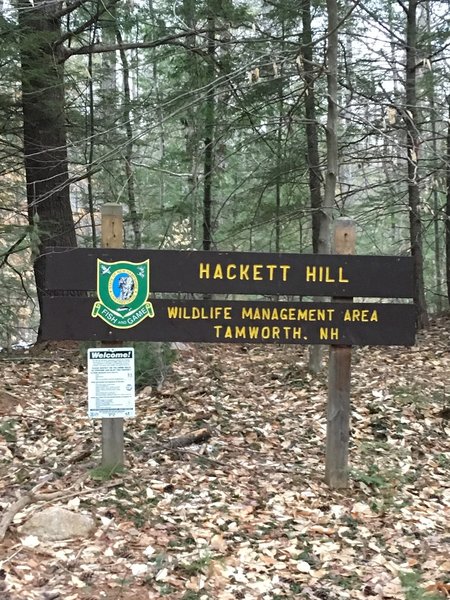 Hackett Hill Wildlife Management Area