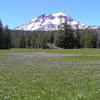 South Sister from Park Meadow