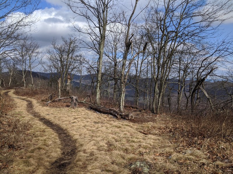 Trail on Ridgeline from Big Schloss