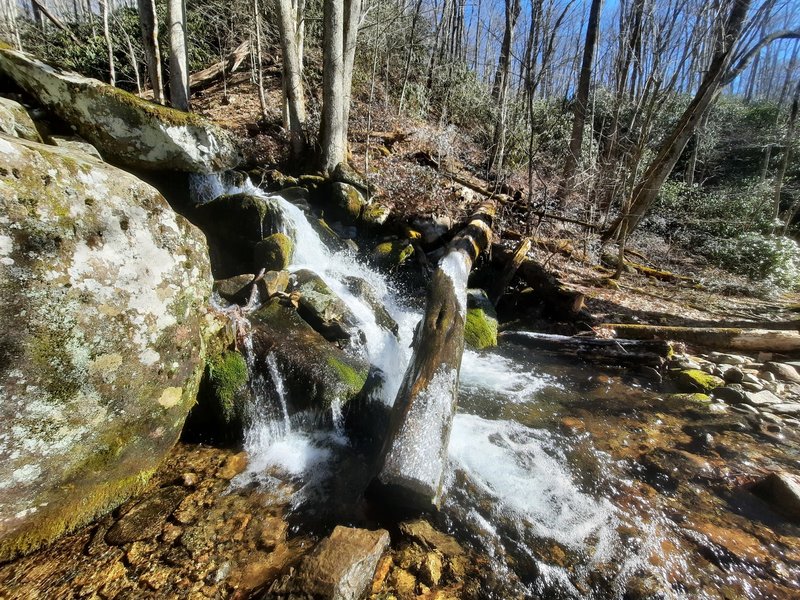 Rocky Branch cascades over Camel Gap trail just above Big Creek after days of steady rain.