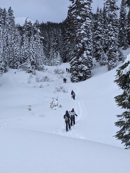 Snowshoeing on the trail to Forest Lake from the Lassen Visitor Center.
