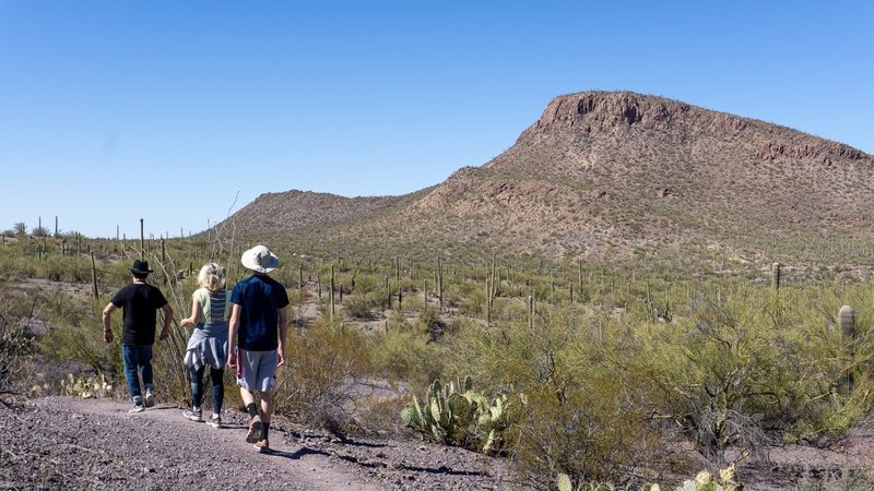 Hikers in the ashy landscape of the Ringtail Trail.