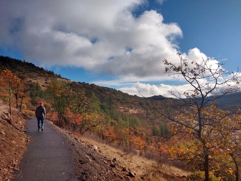 Fall colors along the ADA Trail