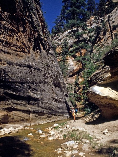 In the canyon of the North Fork of the Virgin River.