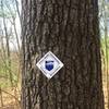 Penn State Forest boundary marker.
