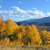 Aspens glowing with Ten Mile Range in the background.