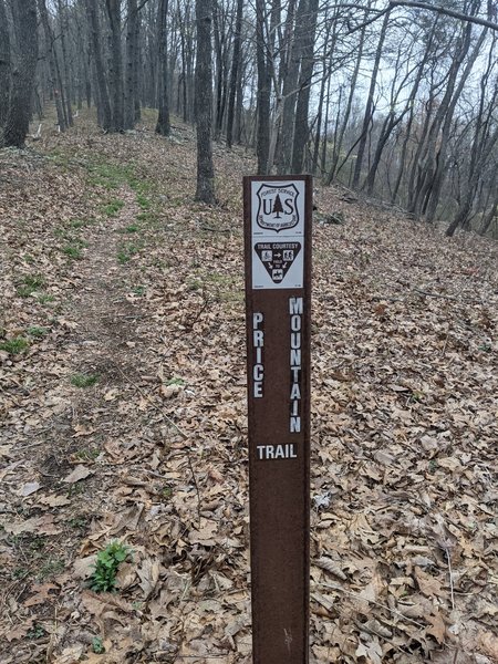 Broad Mountain Trail marker (if you head northeast on the trail from the gravel parking area).