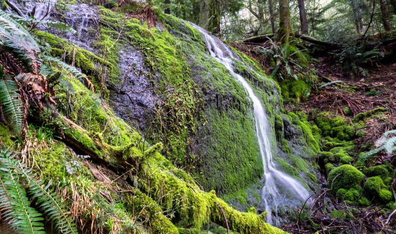 The mossy Doughtry Falls, just off the trail.