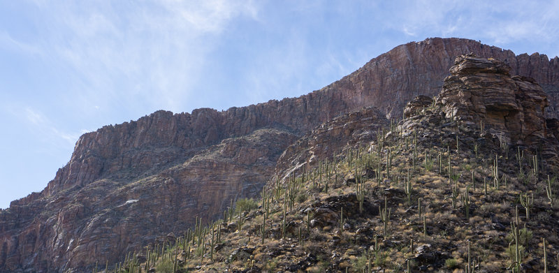 Cliffs rising over Bear Canyon