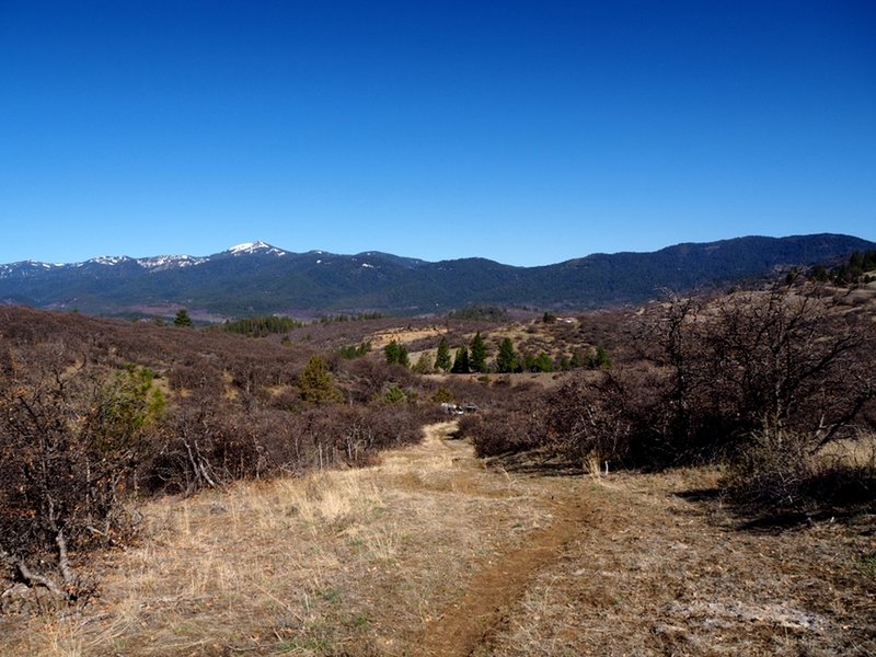 The trail near the parking area, with Mount Ashland on the horizon.