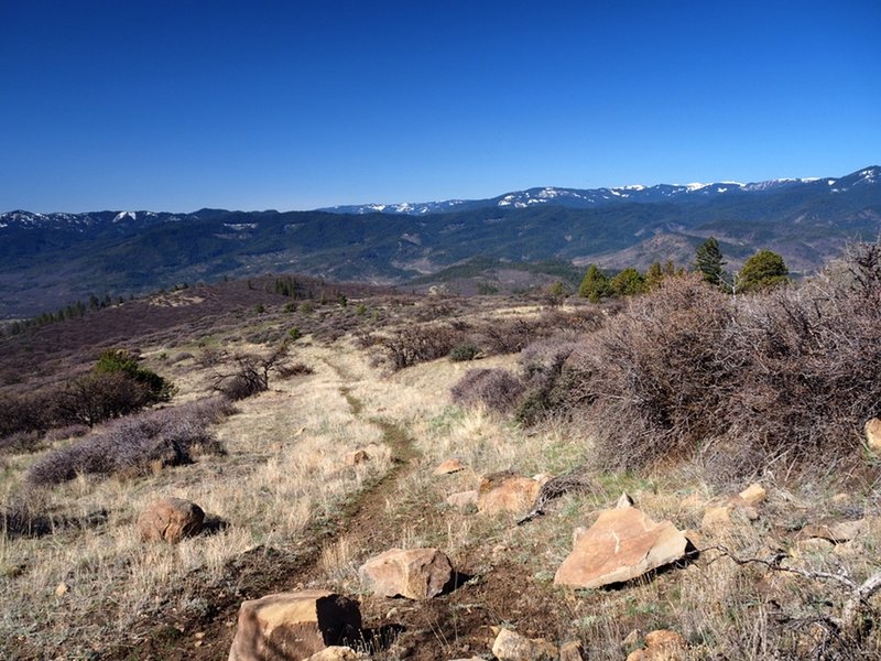 On the trail with the snowy Siskiyou Crest on the horizon.