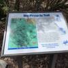 Park sign of Big Pinnacle Trail at the trailhead with some plant information provided.