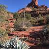 Glorious agaves and red rock chimney.