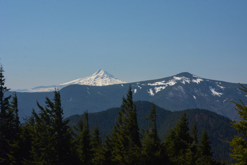 Great views of Mt Hood and Mt Defiance from the ridge on the Tin Can Trail