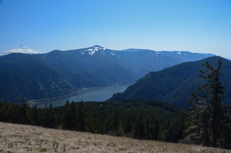 Mount Hood, Mount Defiance, The Columbia River, and Dog Mountain from the summit of Cook Hill.