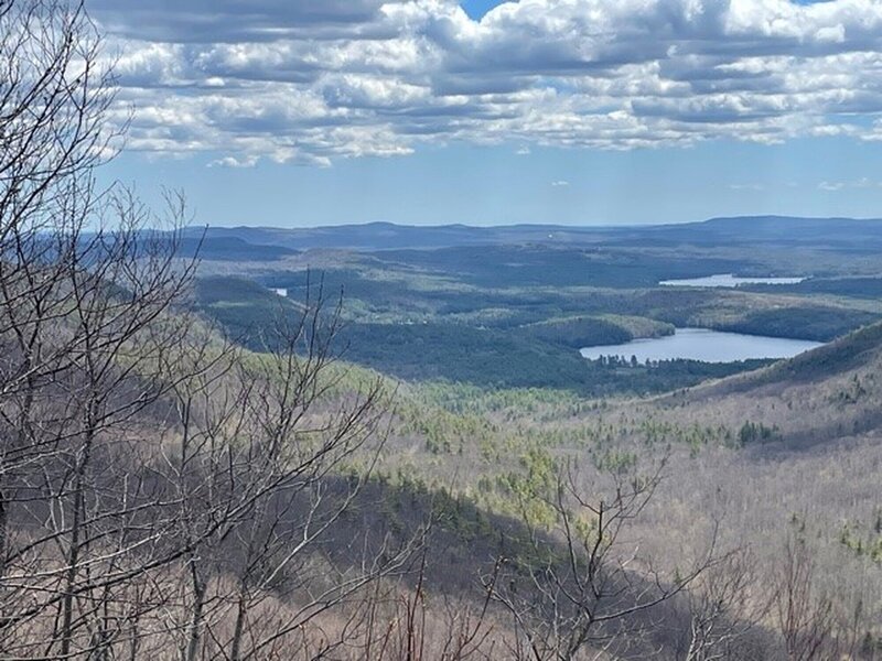 View from White Trail in spring