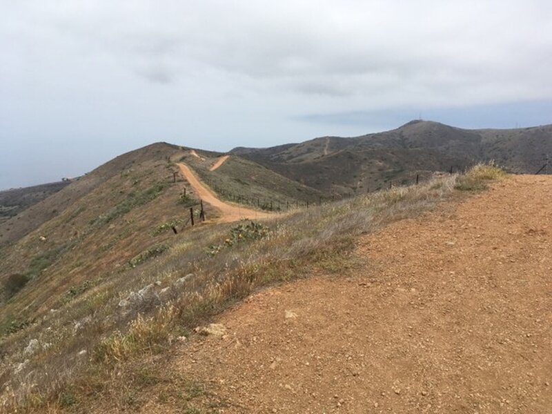 Cat Harbor Overlook Road from near the end of the trail.