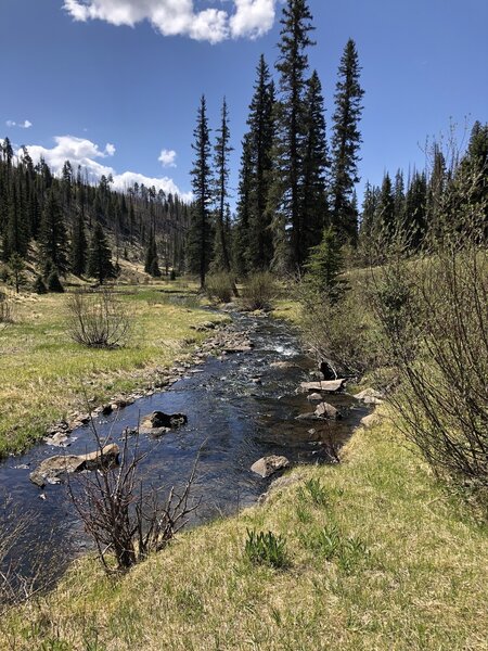 West Fork Black River