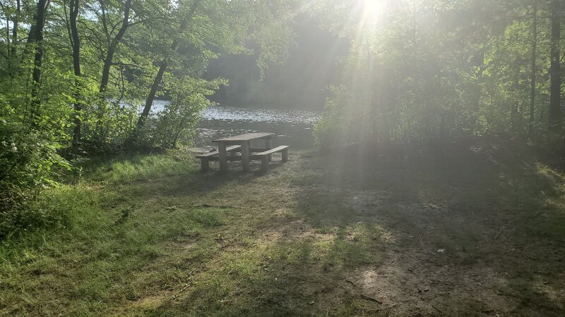Water side picnic table! Its pretty close to the trail entrance.