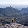 Looking out over the Santa Catalina Mountains from Windy Point.