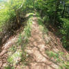 The trail following the ridge line.