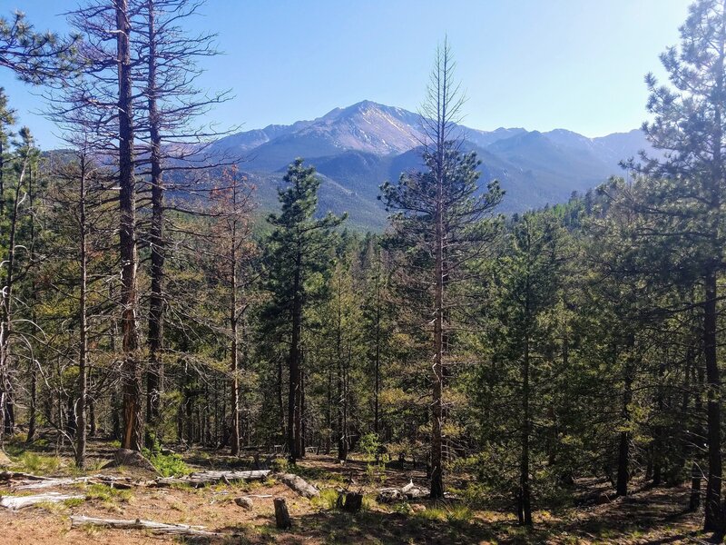View of Pikes Peak from Junction of French Creek #703 & Heizer Trail.