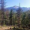 View of Pikes Peak from Junction of French Creek #703 & Heizer Trail.