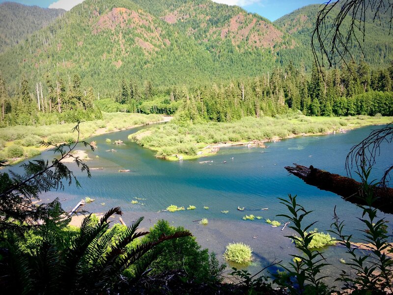 View from the west shore at the very north end of Wynoochee Lake, where