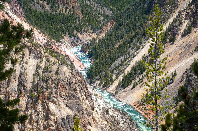 The grand canyon of Yellowstone.