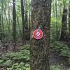 Tree marker for the Red Trail