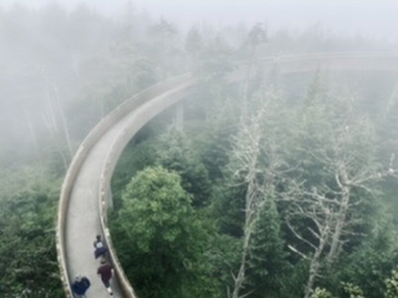 Clingmans dome walk up in the fog.