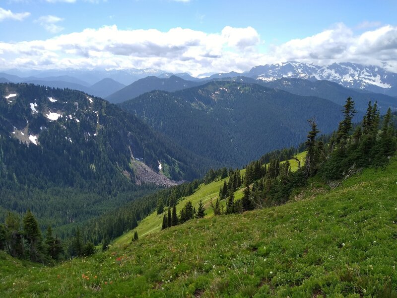 The mountains stretch far into the distance when looking west from the hillside meadows of Johnson Mountain Trail.