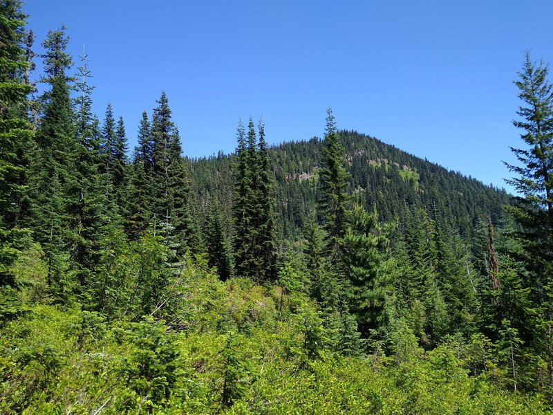 Irving Peak, 5,862 ft., seen to the east through a break in the trees along Irving Pass Trail.