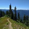Panorama of mountains to the south, including Mt. Rainier, 14,411 ft., in the far distance (far right) from high on the ridge top of Wenatchee Ridge Trail.