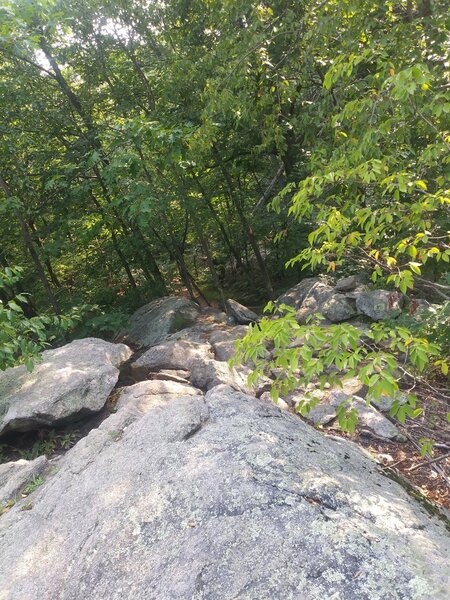 Sometimes you're going over the boulders and sometimes through them, nothing to difficult, lots of families with kids.